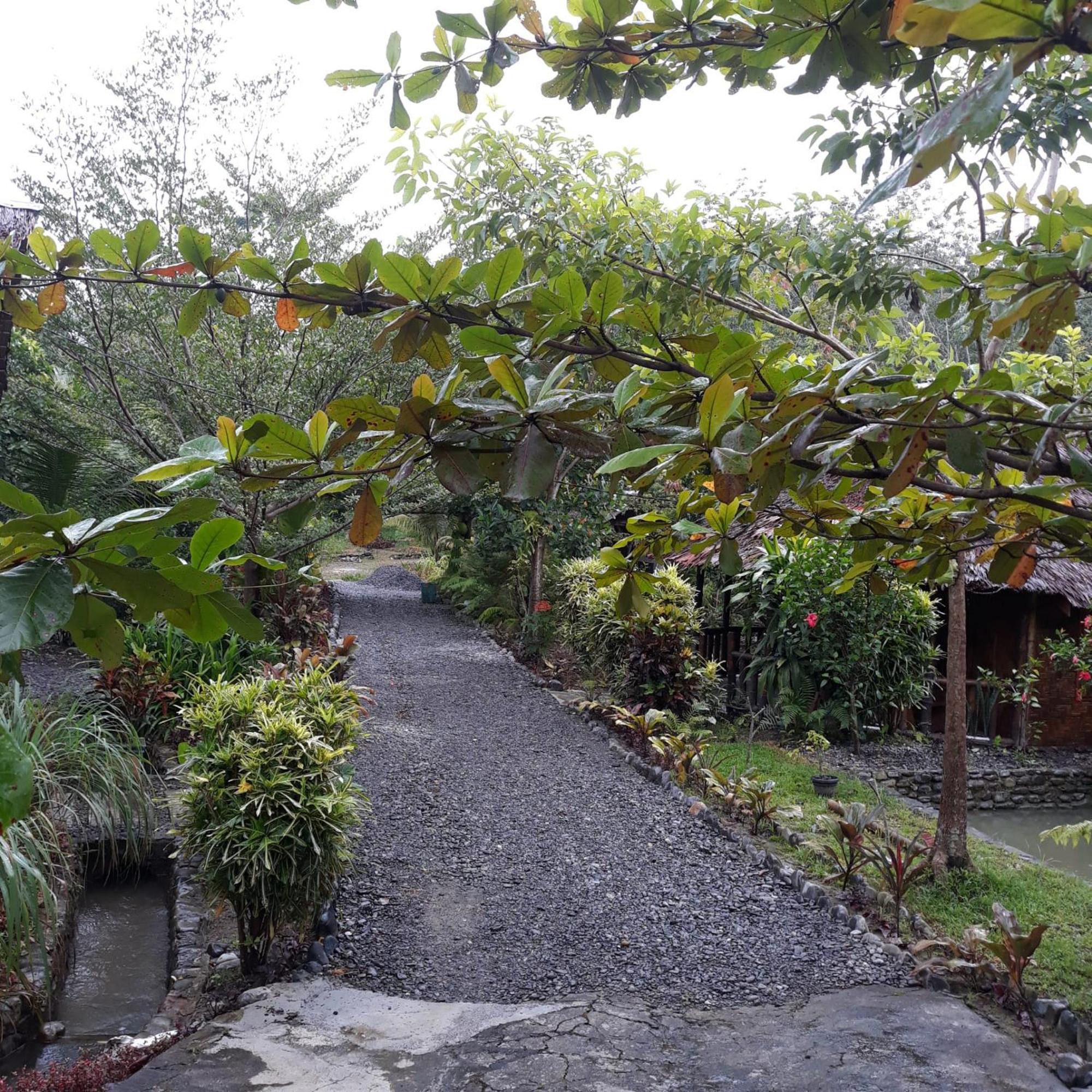 Magpie Homestay & Jungle Trekking Especially For Guest Trekking With Us Букит-Лаванг Номер фото