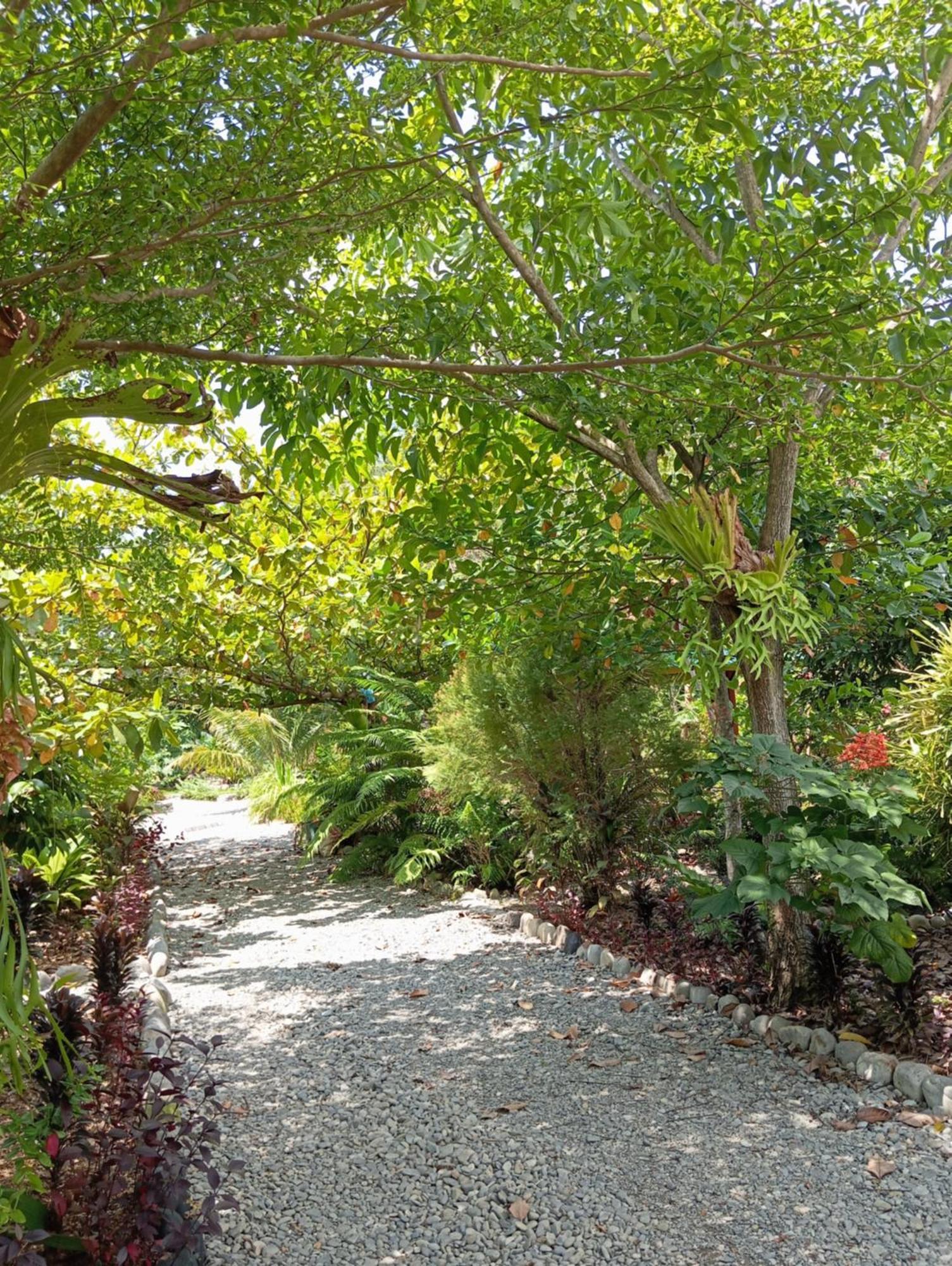 Magpie Homestay & Jungle Trekking Especially For Guest Trekking With Us Букит-Лаванг Экстерьер фото