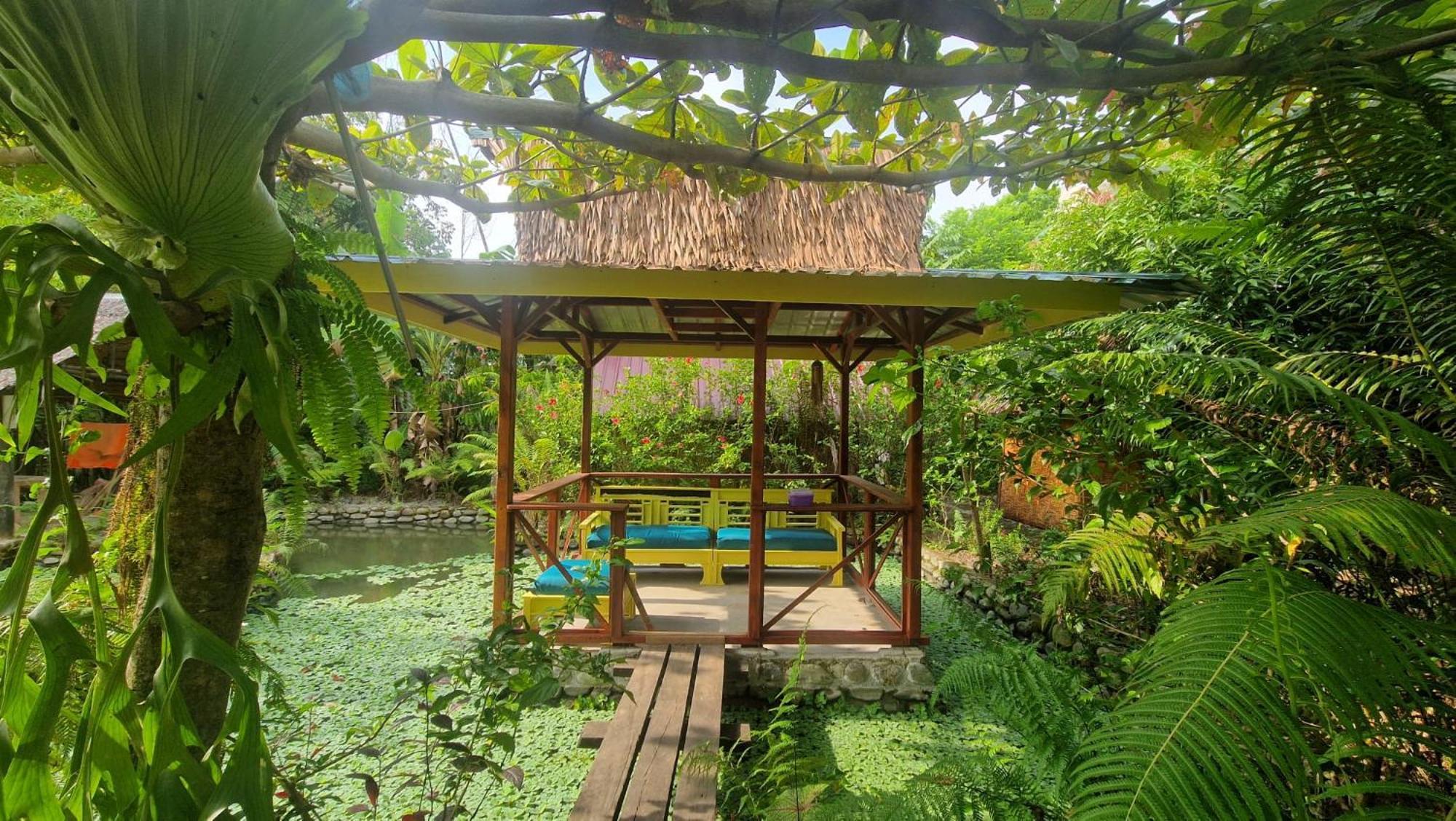 Magpie Homestay & Jungle Trekking Especially For Guest Trekking With Us Букит-Лаванг Экстерьер фото