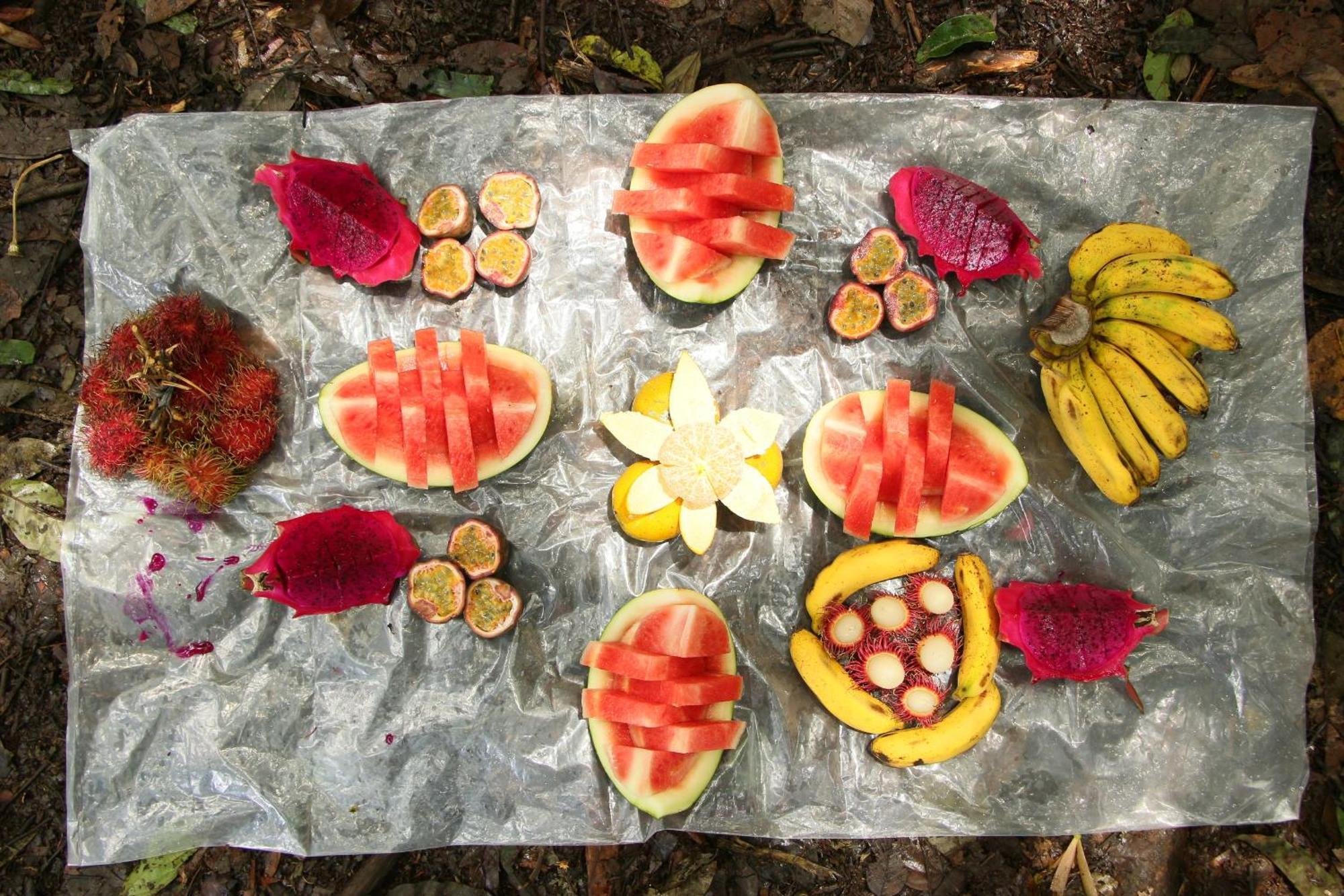 Magpie Homestay & Jungle Trekking Especially For Guest Trekking With Us Букит-Лаванг Экстерьер фото