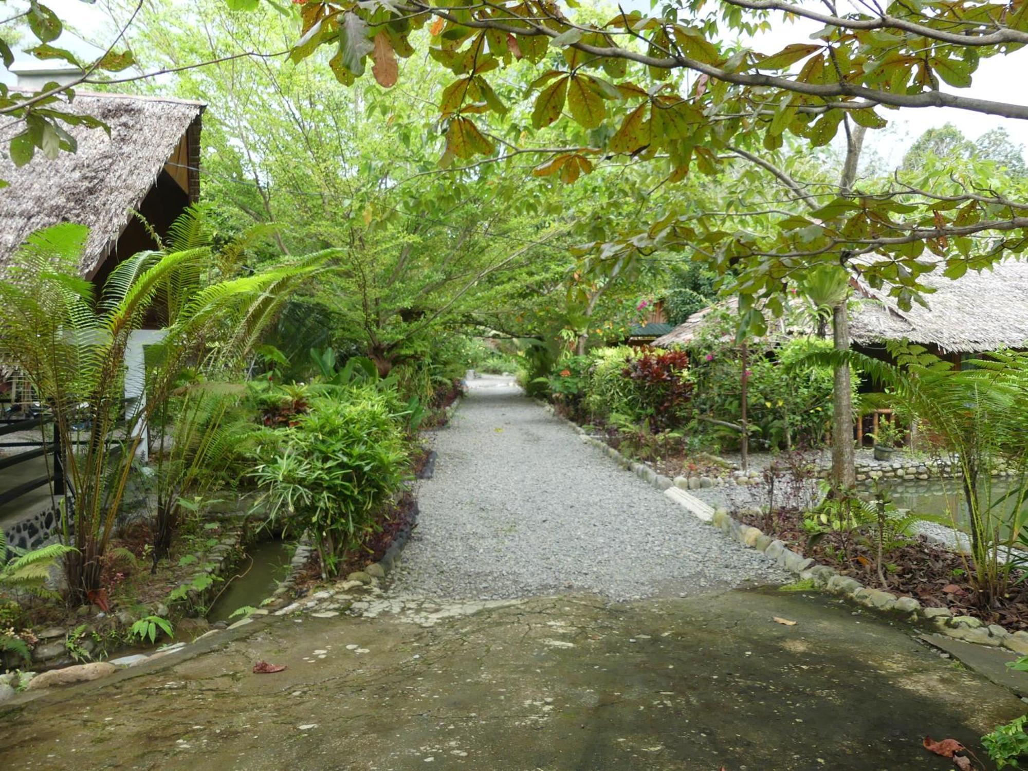 Magpie Homestay & Jungle Trekking Especially For Guest Trekking With Us Букит-Лаванг Экстерьер фото